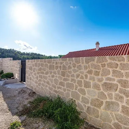 Apartment Luci - 40 M From Sea * Novigrad (Dalmatia)